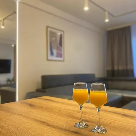 New Concept Included Garage Apartment Sarajevo