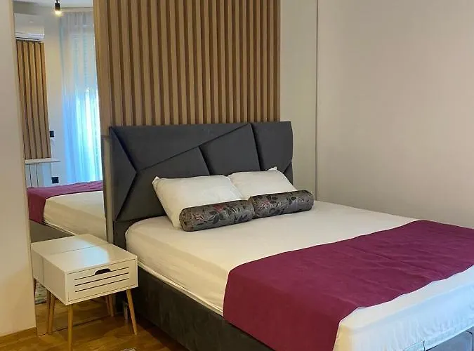 New Concept Including Garage 아파트 사라예보